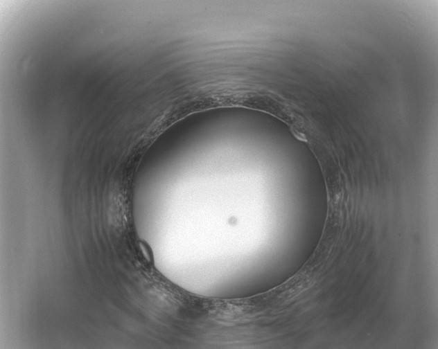 X0000067340772200604071350