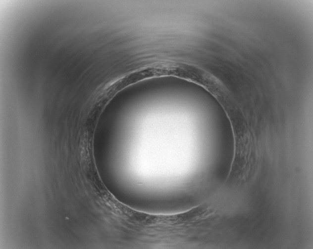 X0000067340773200604071350