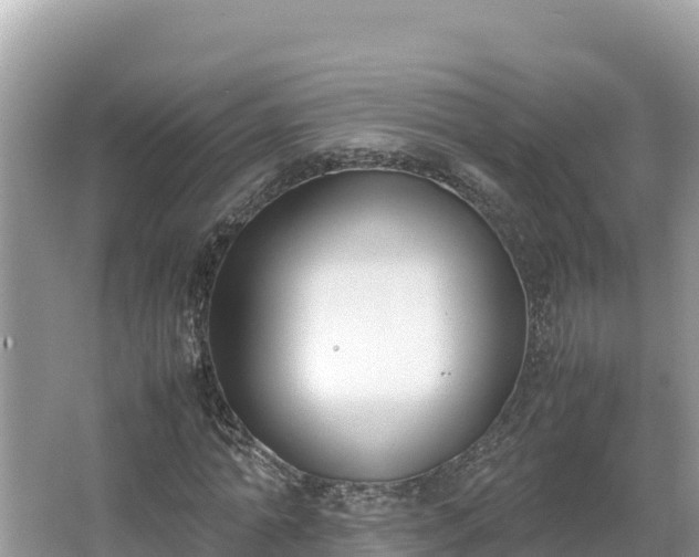 X0000067340774200604071350