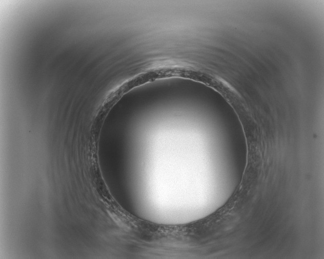 X0000067340775200604071350