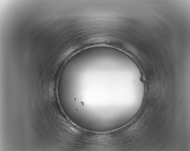 X0000067340778200604071350