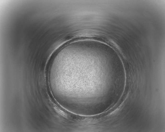 X0000067340779200604071350