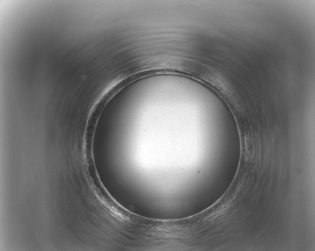 X0000067340780200604071350