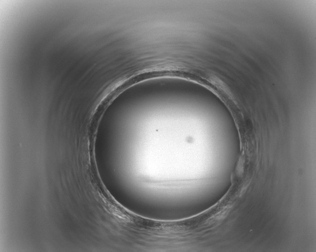 X0000067340781200604071350