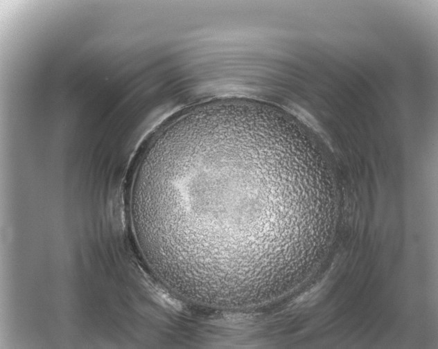 X0000067340782200604071350