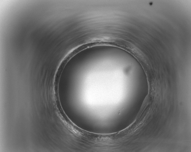 X0000067340784200604071350