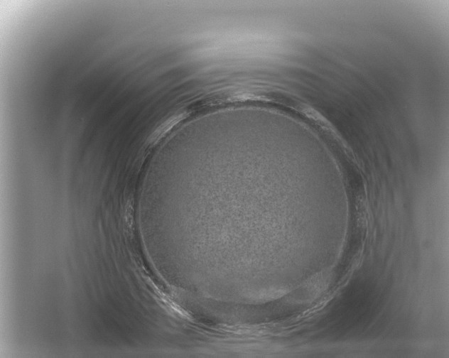 X0000067340785200604071350