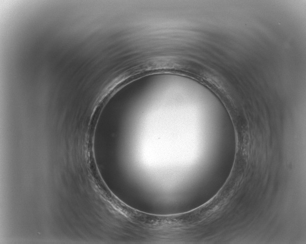 X0000067340786200604071350