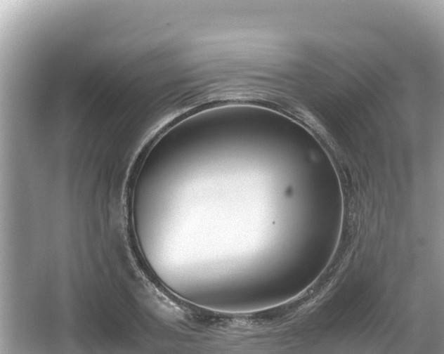 X0000067340787200604071350