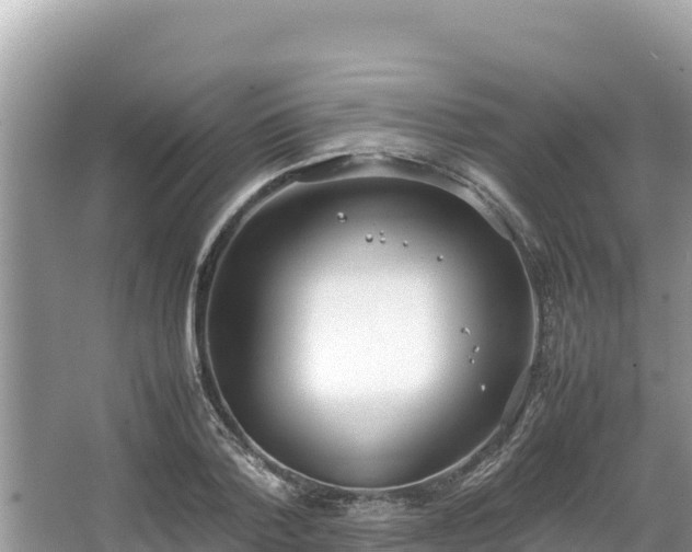 X0000067340788200604071350