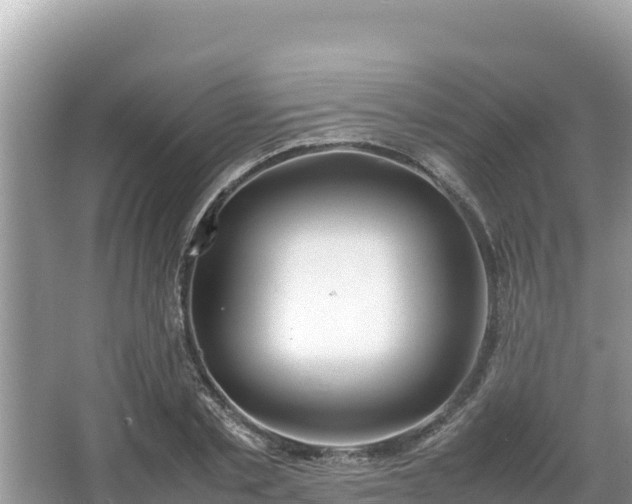 X0000067340789200604071350