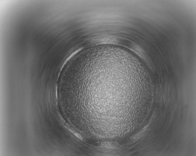 X0000067340790200604071350