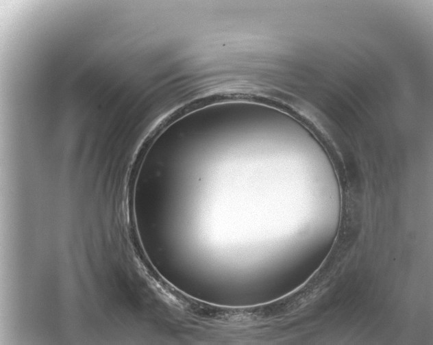 X0000067340791200604071350