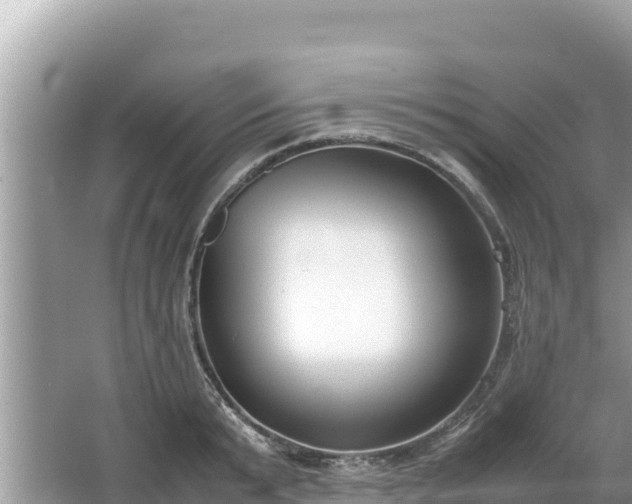 X0000067340799200604071350