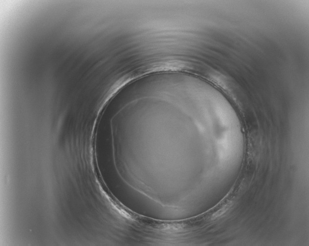 X0000067340802200604071350