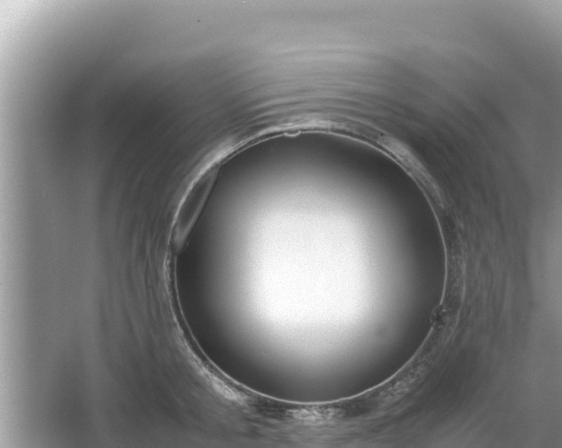 X0000067340805200604071350