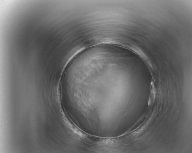 X0000067340806200604071350