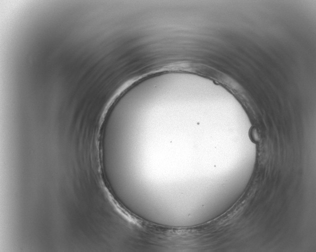 X0000067340808200604071350