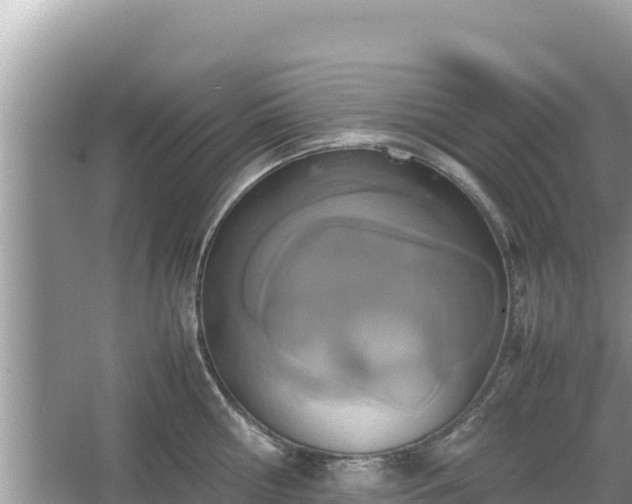 X0000067340810200604071349