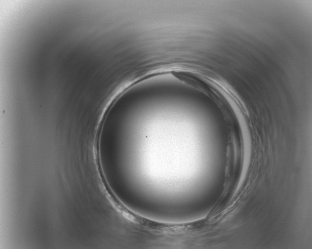 X0000067340813200604071349