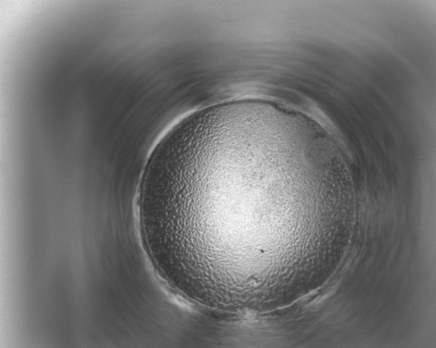 X0000067340814200604071349