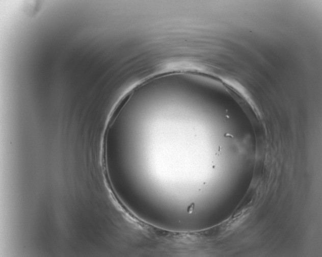 X0000067340815200604071349