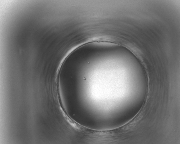 X0000067340816200604071349