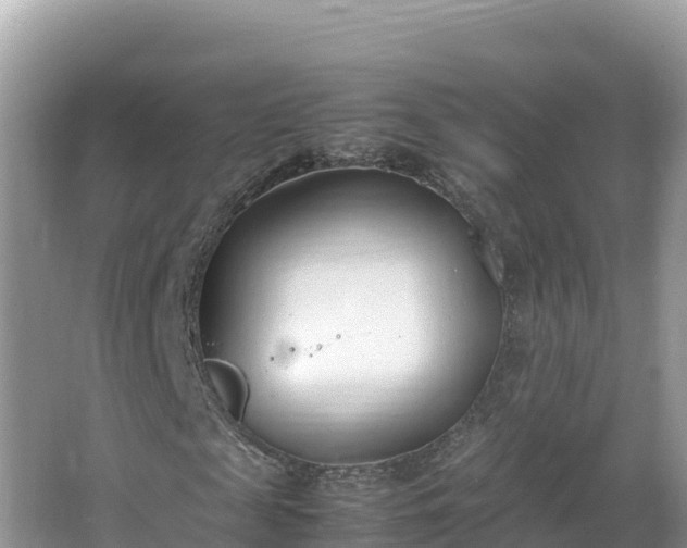 X0000067340817200604071349