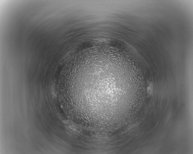 X0000067340819200604071349