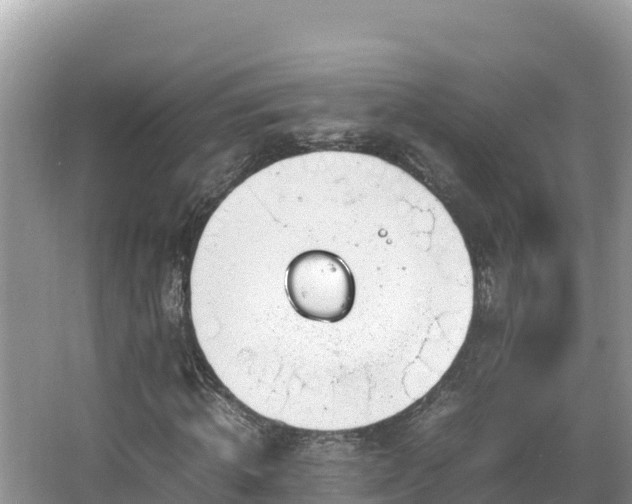 X0000067340820200604071349