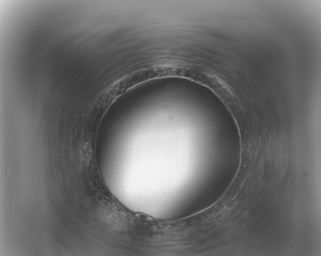 X0000067340821200604071349