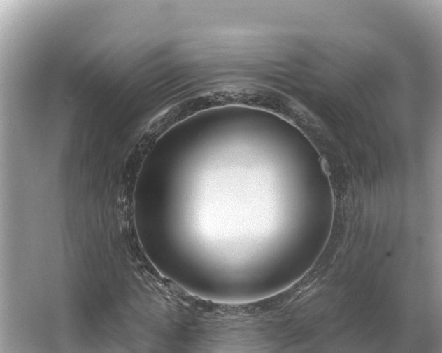 X0000067340822200604071349