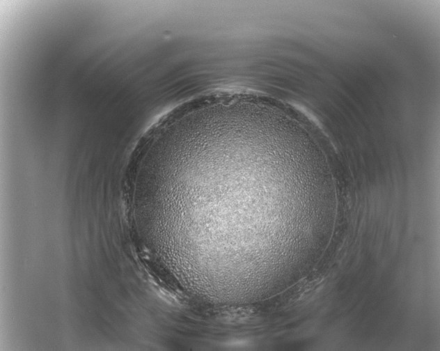 X0000067340823200604071349