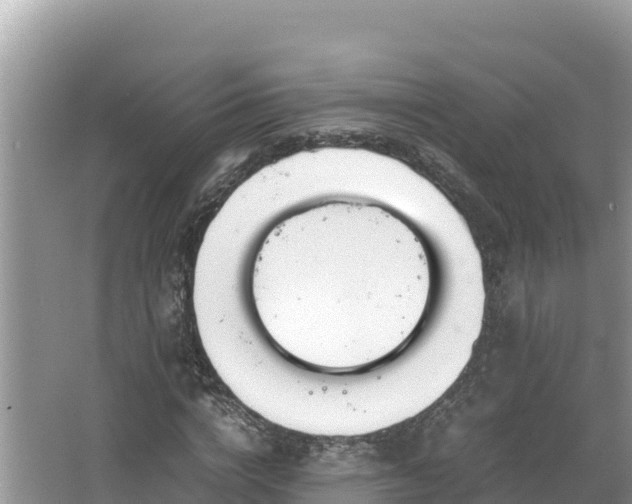 X0000067340824200604071349