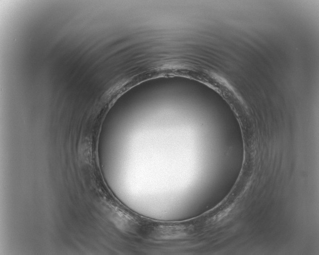 X0000067340825200604071349