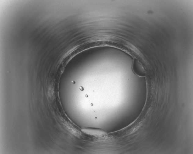 X0000067340826200604071349