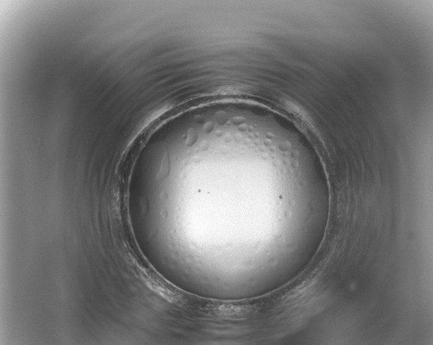 X0000067340827200604071349