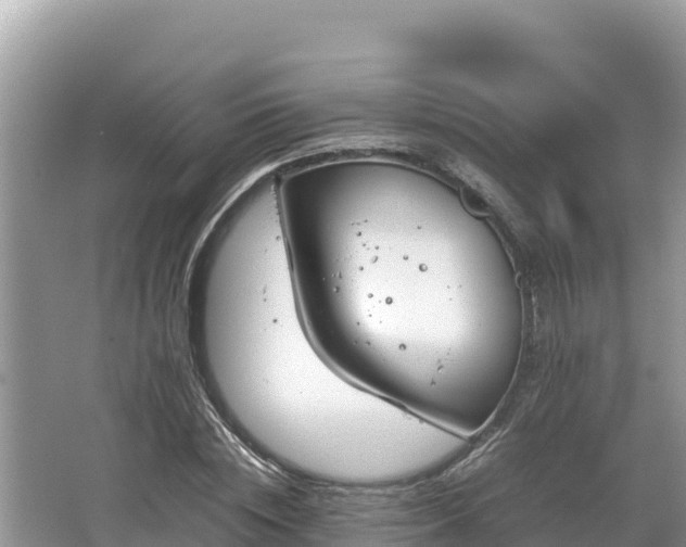 X0000067340828200604071349