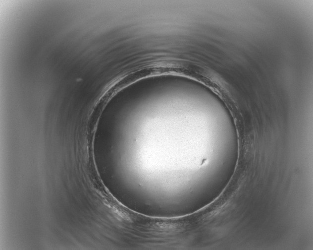 X0000067340829200604071349