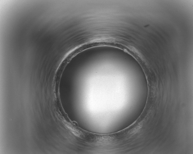 X0000067340830200604071349