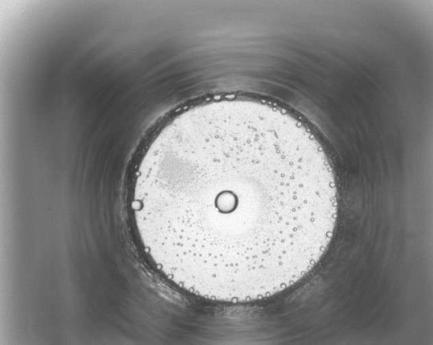 X0000067340832200604071349