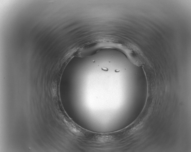 X0000067340833200604071349