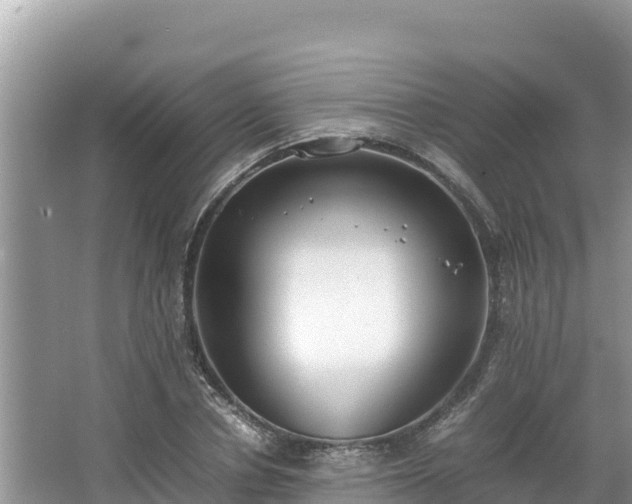 X0000067340834200604071349