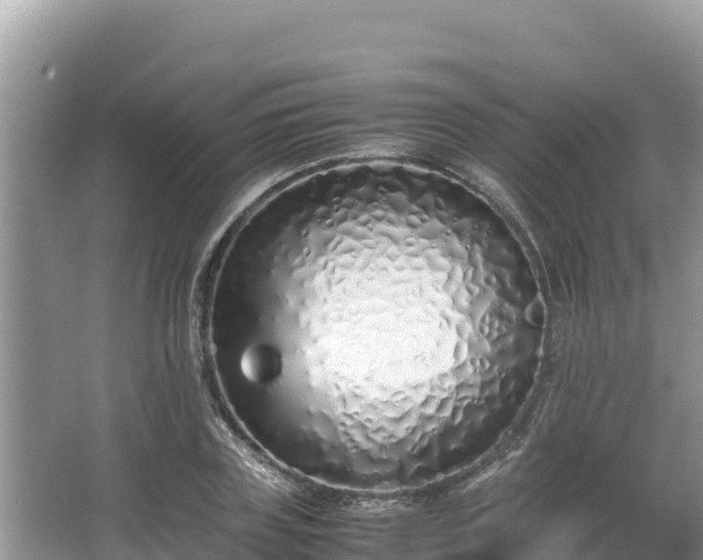 X0000067340835200604071349