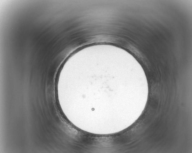 X0000067340836200604071349