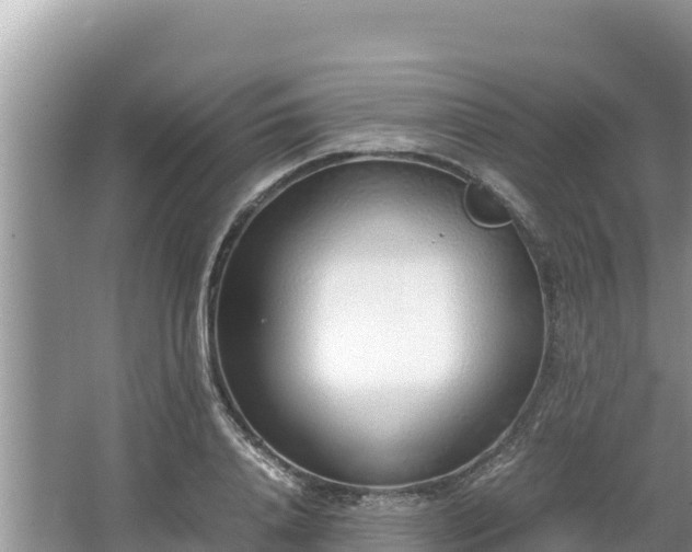 X0000067340840200604071349