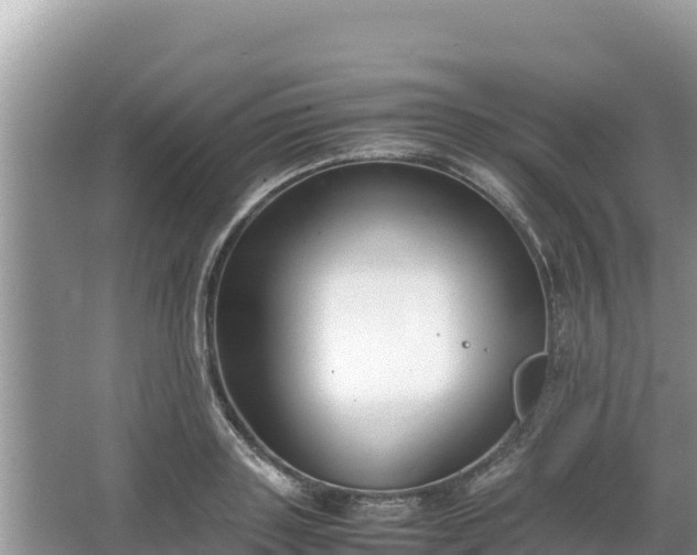 X0000067340843200604071349