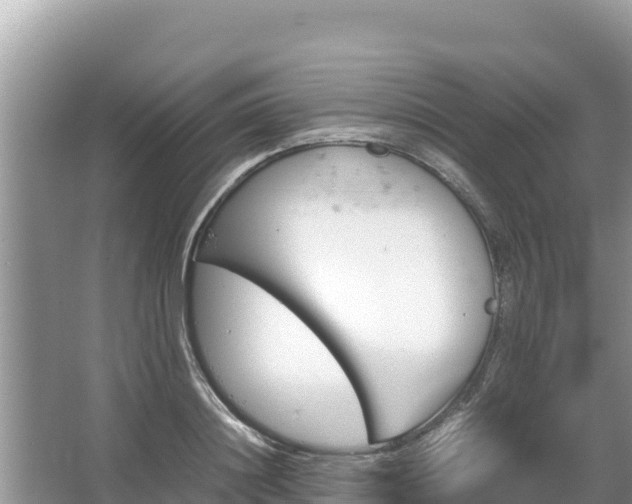 X0000067340844200604071349