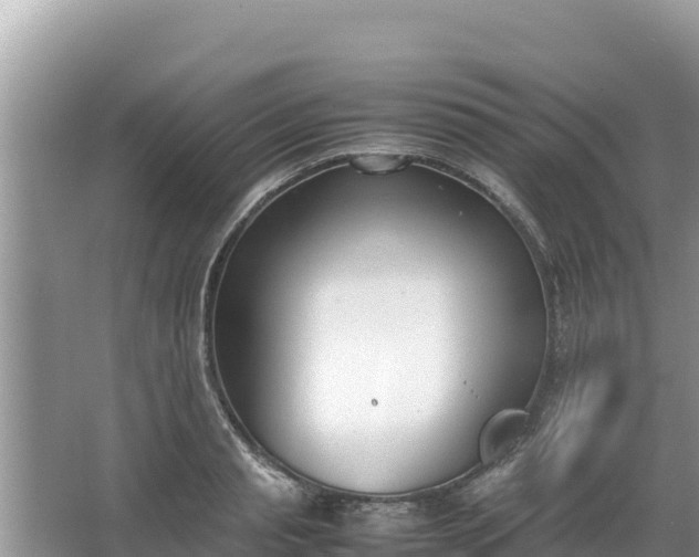 X0000067340845200604071349