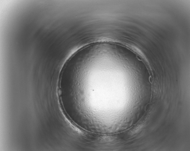 X0000067340847200604071349